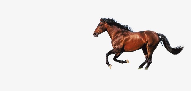 杨风利身边新鲜事_志愿圈_志愿河南 河南志愿 河南新时代文明实践中心