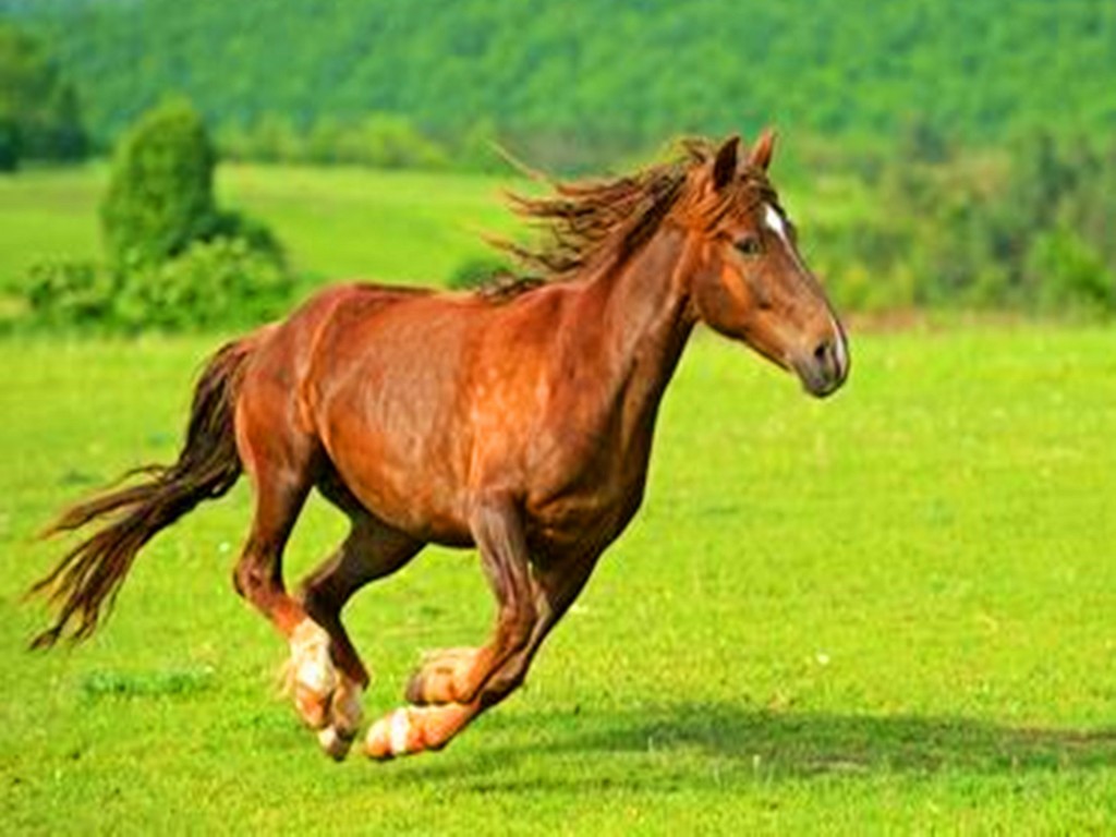 杨风利身边新鲜事_志愿圈_志愿河南 河南志愿 河南新时代文明实践中心